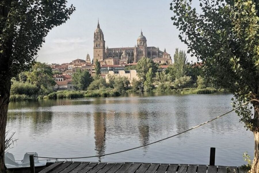 Salamanca: Guided Sightseeing Tour by Bicycle - Monterrey Palace and Salamanca’s sandstone style