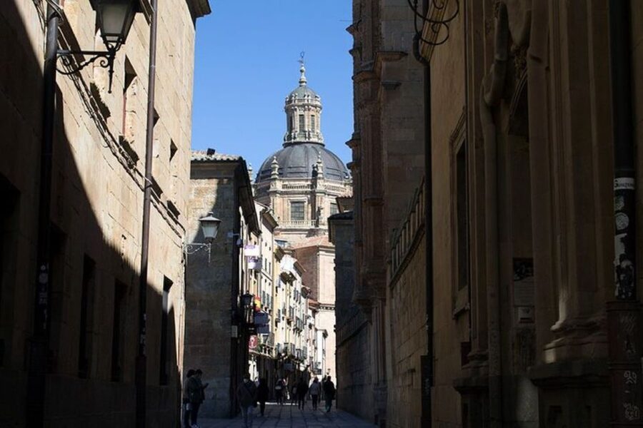 Salamanca: Guided Sightseeing Tour by Bicycle - The cathedrals and the university finale