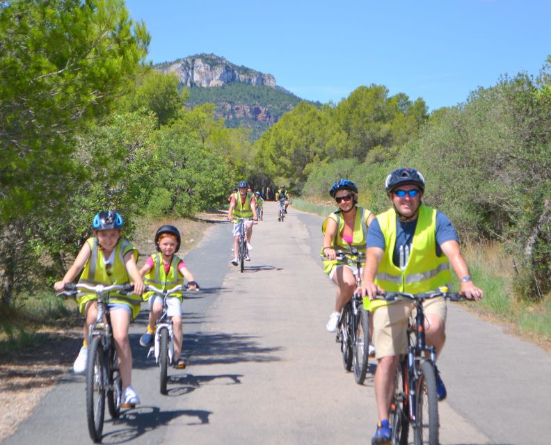 Salou: Easy Bike Tour with Wine Tasting - Passing vineyards and learning how grapes grow