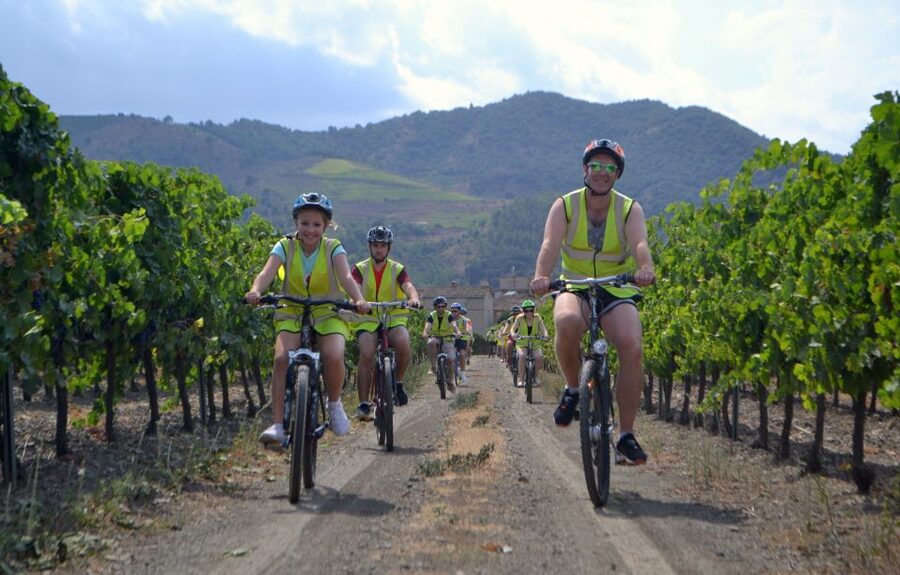 Salou: Easy Bike Tour with Wine Tasting - Why the guides matter