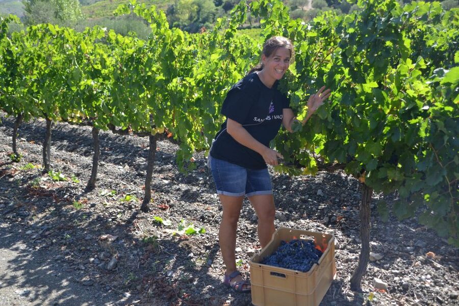 Salou: Easy Bike Tour with Wine Tasting - Timing, cost, and practical value