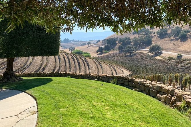 Santa Barbara Vineyard to Table Taste Tour by E-Bike - Picnic lunch among the vines at Brander Vineyard