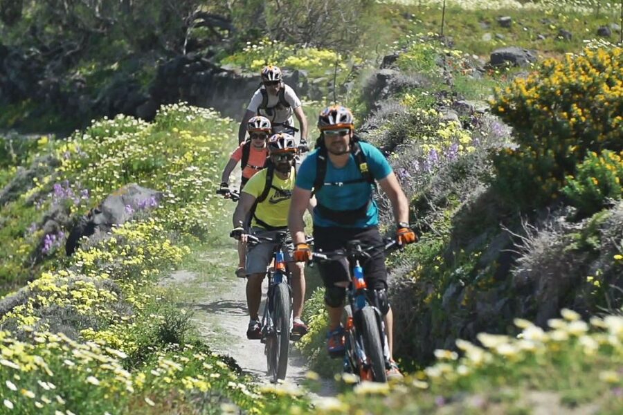 Santorini: Electric Mountain Bike Adventure - Guides, Group Size, and Personal Attention