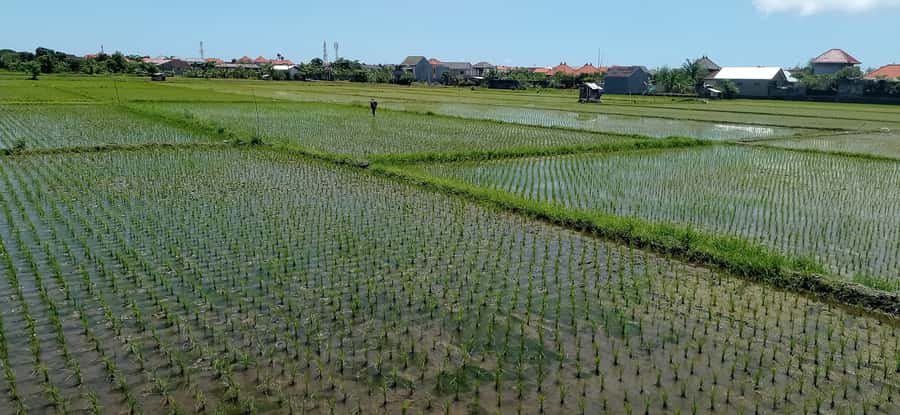 Sanur Village E-bike Tour: Family-Friendly Adventure - Who will enjoy this tour most
