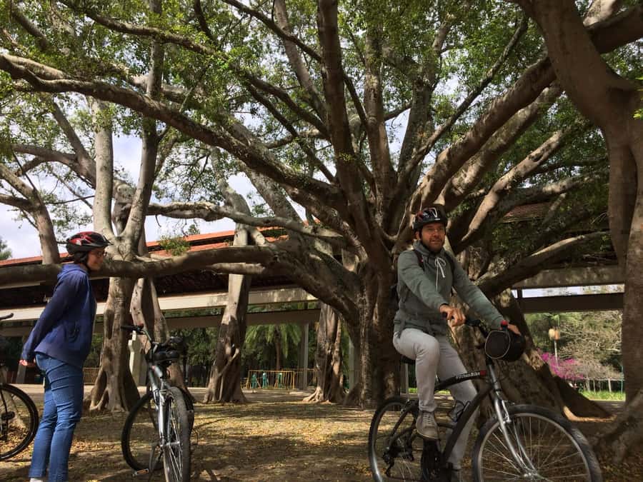 São Paulo: Street Art Bike Tour - What the three-and-a-half-hour schedule feels like