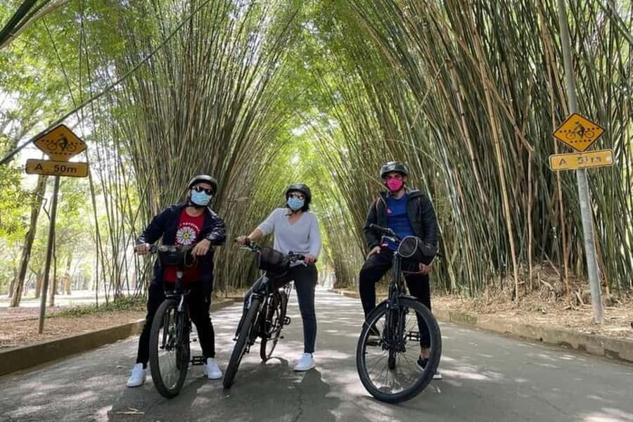 Sao Paulo: The Coolest Urban Scenes Bike Tour - Vila Madalena and Batman Alley deliver the color