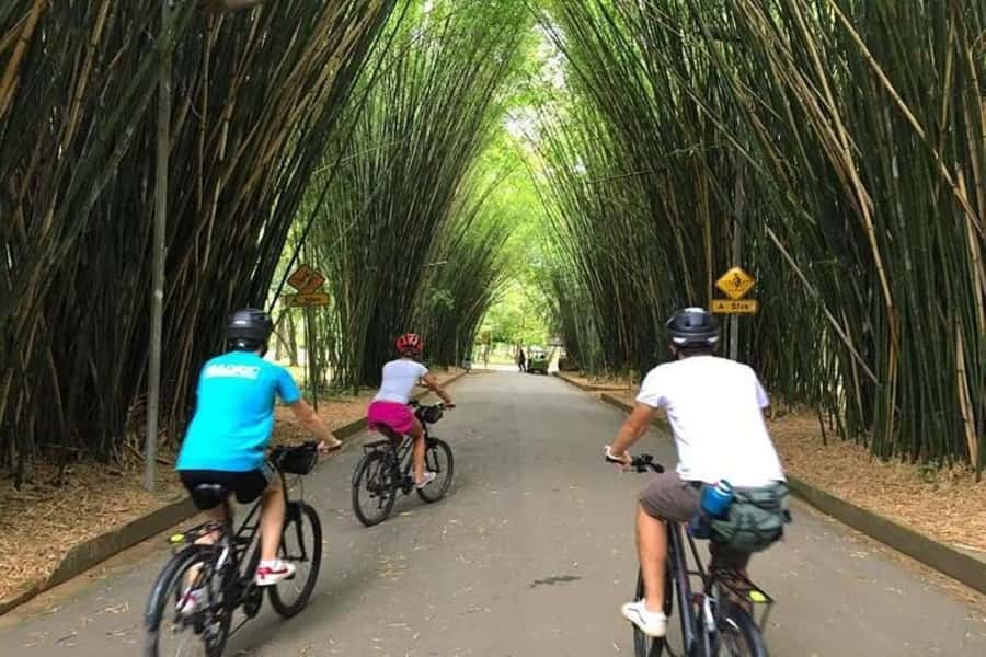 Sao Paulo: The Coolest Urban Scenes Bike Tour - Ibirapuera Park brings space and quiet