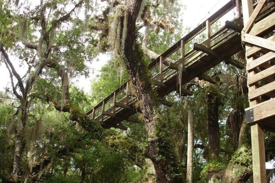 Sarasota: Myakka State Park E-bike Safari Experience - Booking Details and Practical Advice