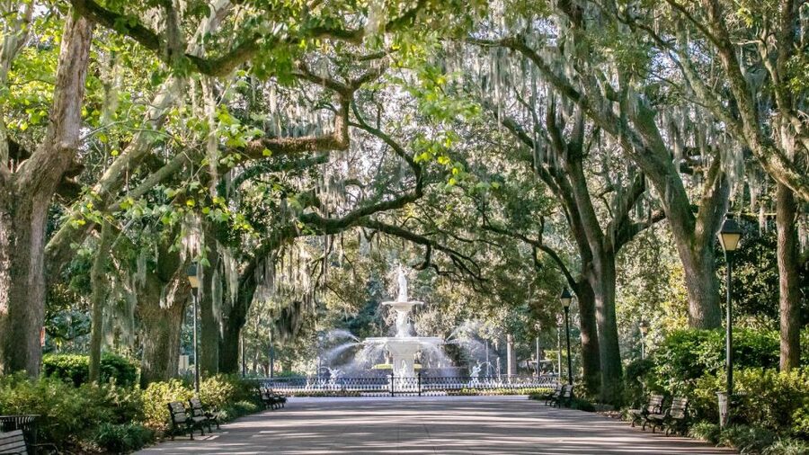 Savannah: History, Culture, & Scenic Views E-Bike Tour - Six reasons this Savannah e-bike tour is worth considering