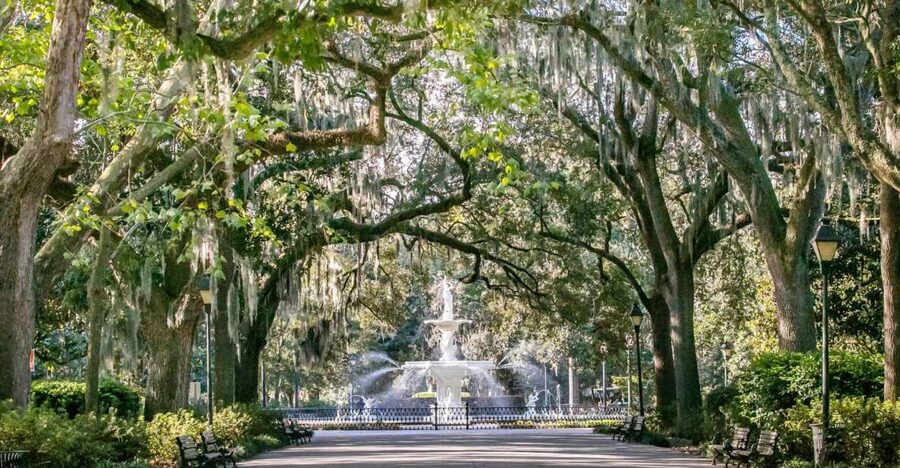 Savannah: History, Culture, & Scenic Views E-Bike Tour - Getting started with bike fitting and safety