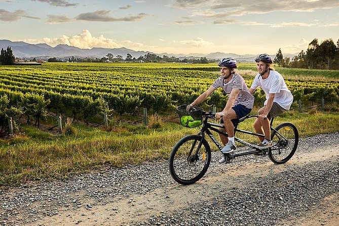 Self-Guided Biking Wine Tour (full day) in the Marlborough Region. - What the $43.44 price really covers