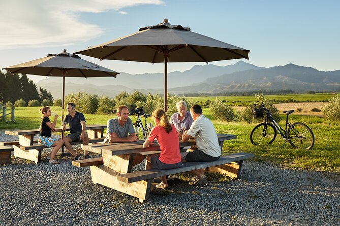 Self-Guided Biking Wine Tour (full day) in the Marlborough Region. - How this compares with a minivan tour