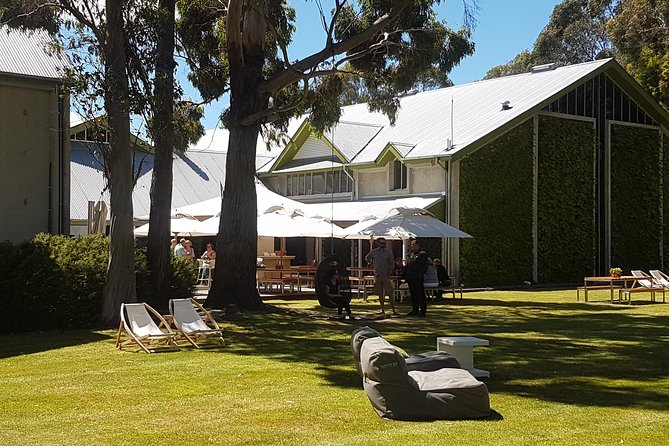 Self-Guided Biking Wine Tour (full day) in the Marlborough Region. - Following the flat vineyard routes