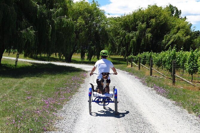 Self-Guided Wine Tours by Bike with Lorelle & Greg - Why biking Renwick works so well