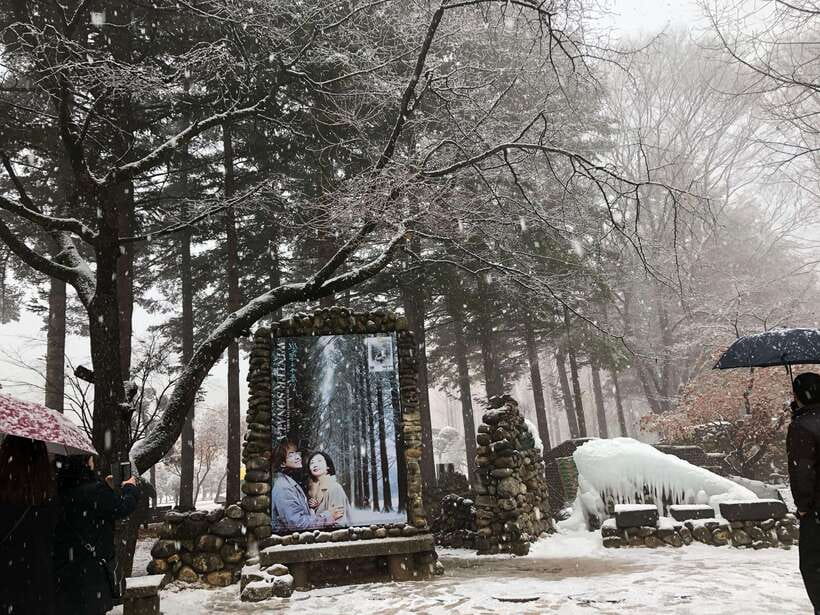 Seoul: Alpaca, Nami, Morning Calm or Eobi (+Rail Bike) - The guide and van can shape the whole day