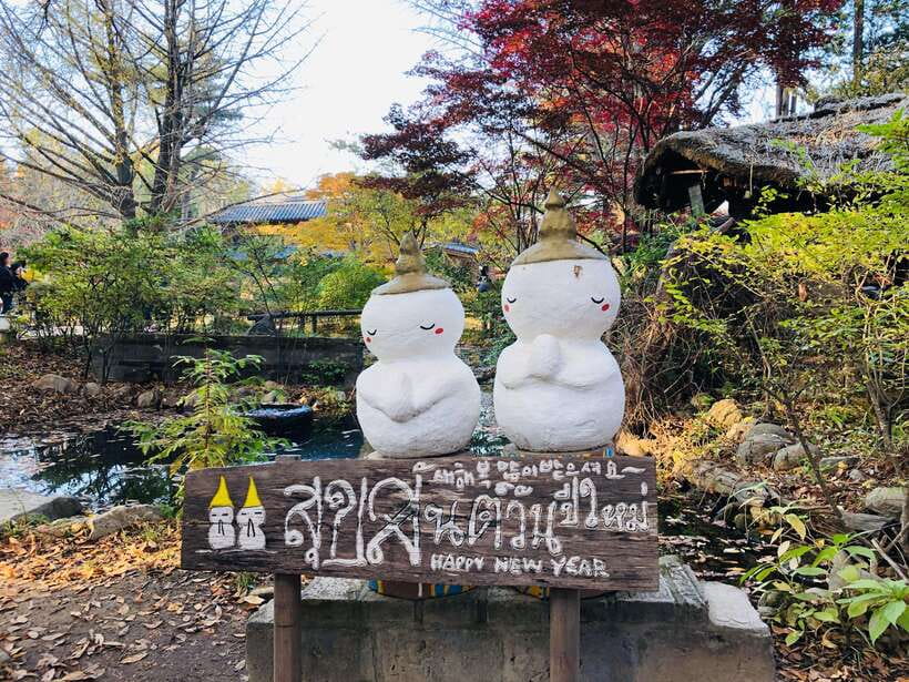 Seoul: Alpaca, Nami, Morning Calm or Eobi (+Rail Bike) - Food, clothing, and the real cost