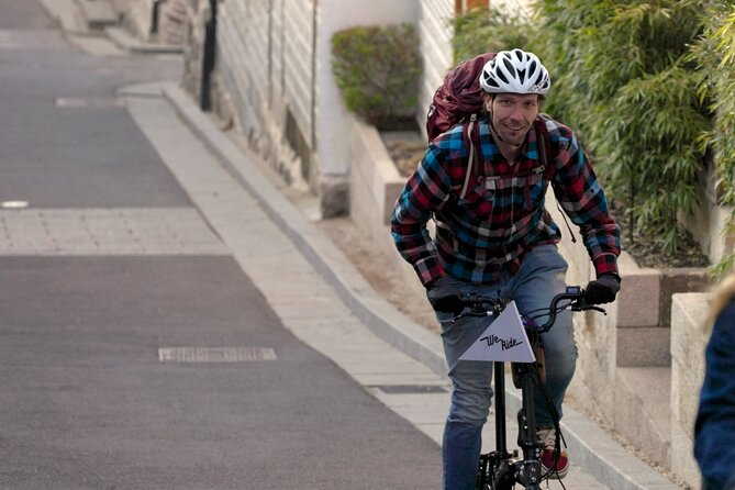 Seoul E-bike Tour - Why an e-bike is a smart way to see Seoul