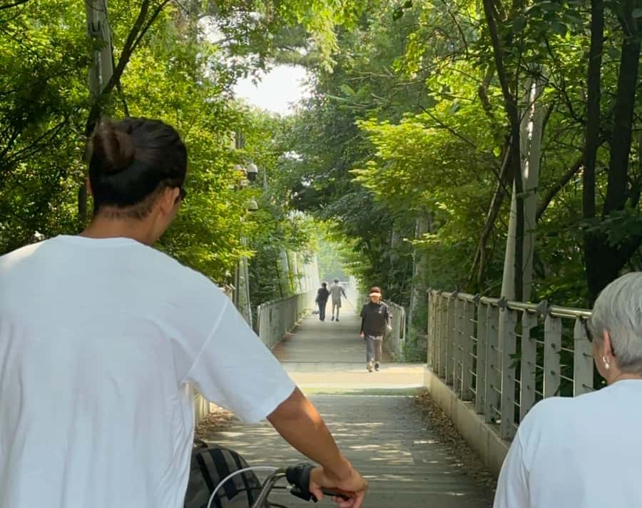 Seoul: Urban Nature Bike Tour along Han River - Cycling Through Seoul Forest