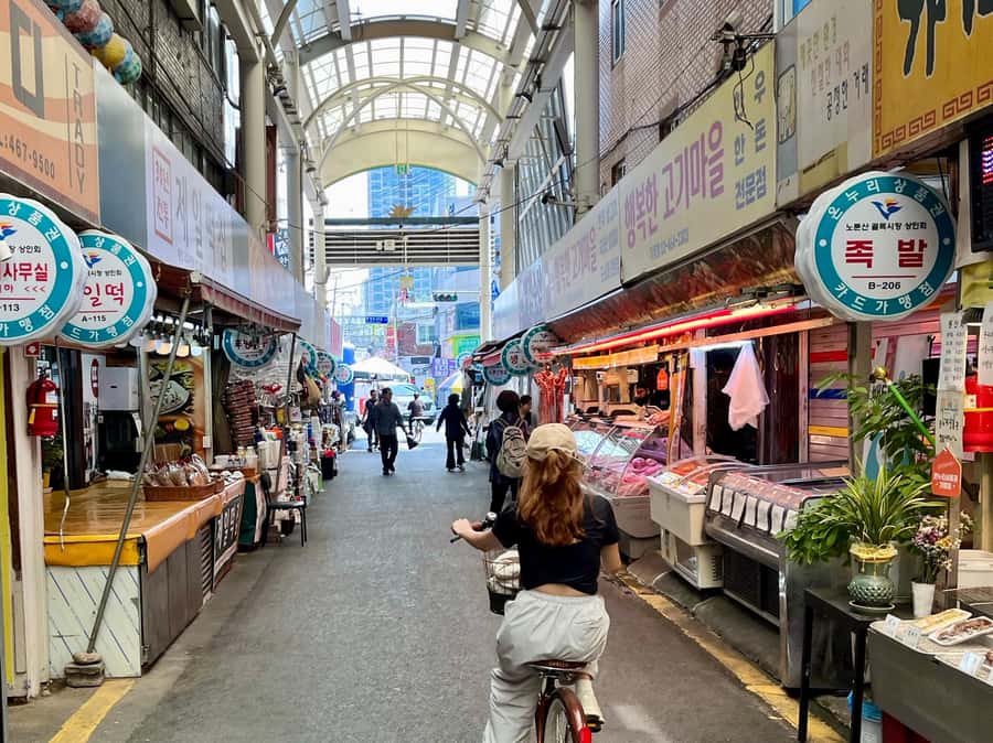 Seoul: Urban Nature Bike Tour along Han River - Seongsu-dong, Seoul’s Fashionable Side