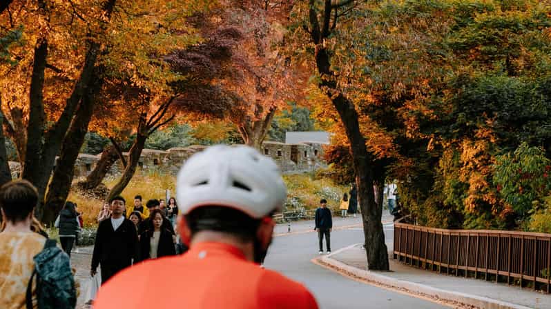 Seoul: Urban Nature Bike Tour along Han River - The Optional Han River Picnic