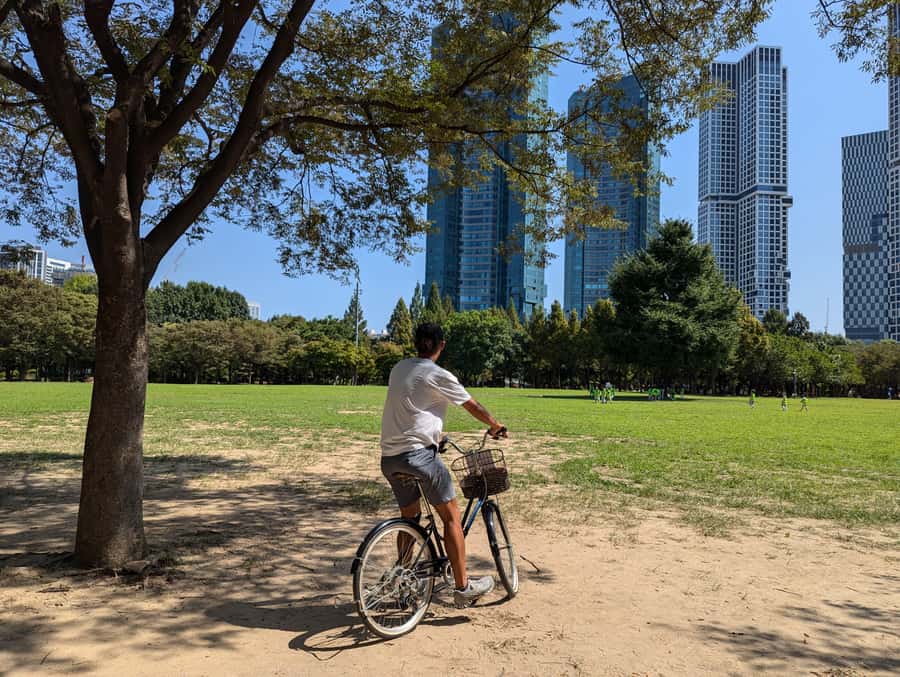 Seoul: Urban Nature Bike Tour along Han River - Koa’s Role as Your Local Guide