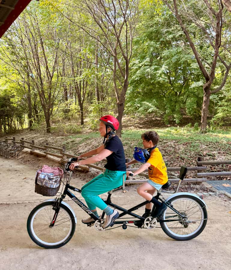 Seoul: Urban Nature Bike Tour along Han River - Starting at Ttukseom Han River Park