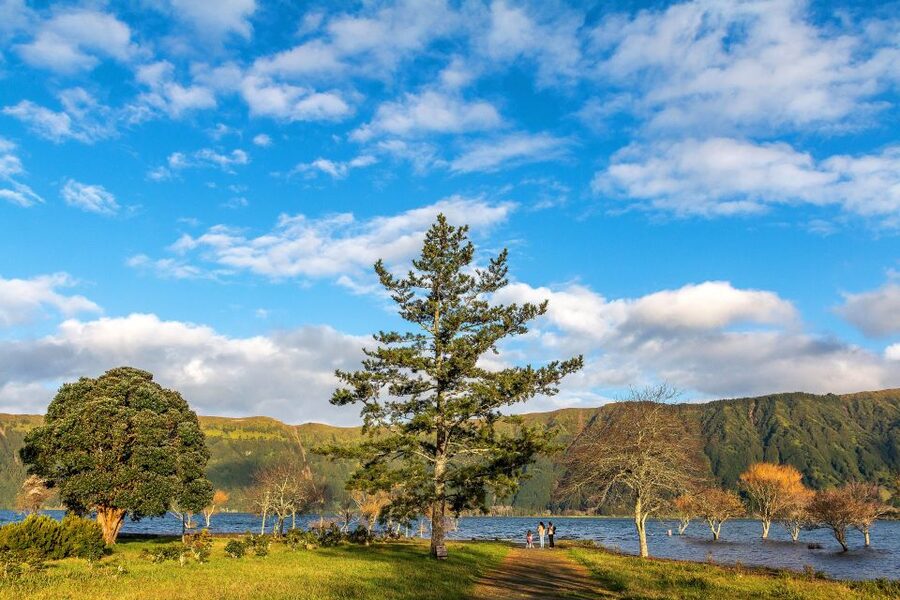 Sete Cidades Bike Rental - Choosing between a calm lakeside ride and a stronger route