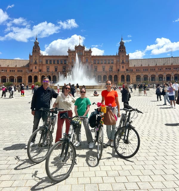 Sevilla: 100% Nederlandstalige Highlights Tour op E-BIKE - San Telmo Palace, the Torre del Oro, and the river side