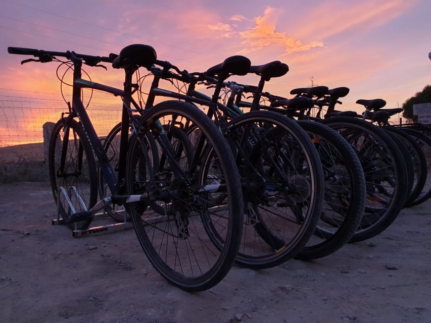Seville: Bike Rental - What your three-hour ride can look like
