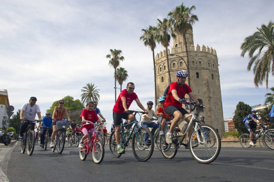 Seville City Bike Tour: Top Seville's Monuments - Down to the river, the Torre del Oro, and Maestranza