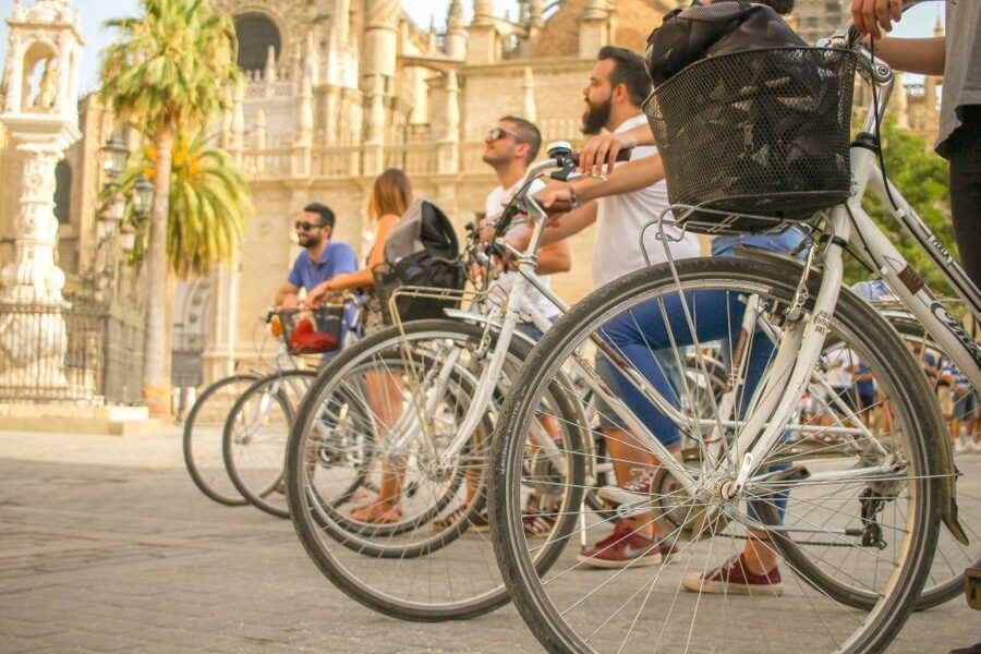Seville: City Sightseeing and Local Culture Bike Tour - Torre del Oro and the San Telmo Palace