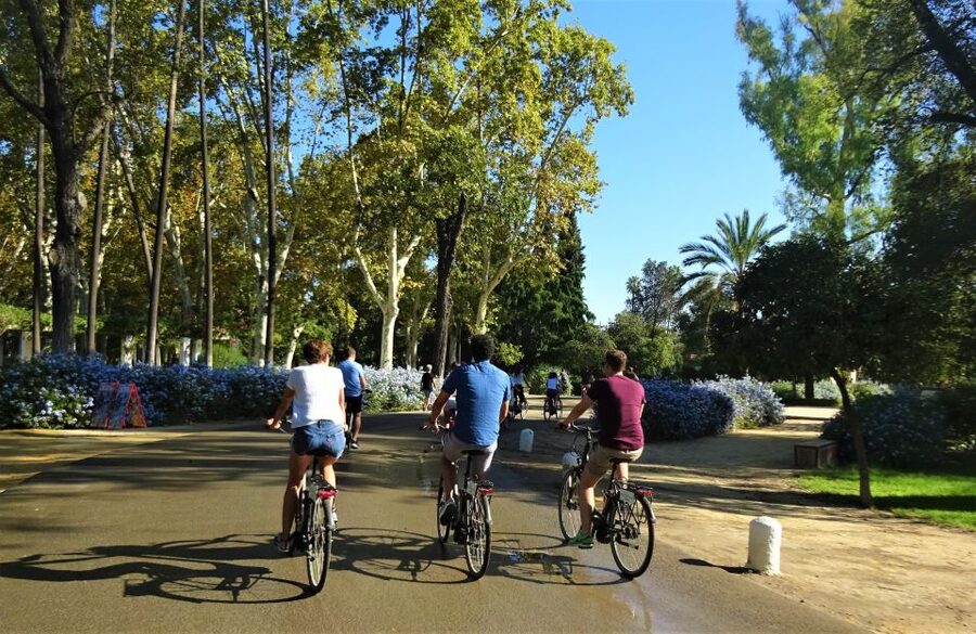Seville: Electric Bike Tour in Small Group - Useful booking and riding advice