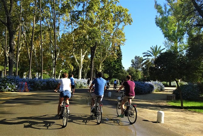 Seville Electric Bike Tour - Small Group - Group Size, Comfort, And Safety