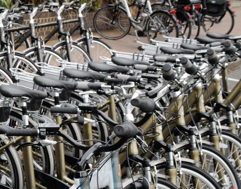 Seville: Guided Tour by Electric Bike - Starting at ATD Bikes on a pedestrian street