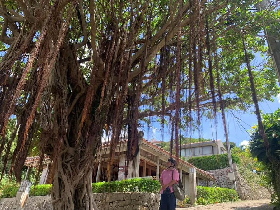 Shuri+Naha: Cycling Tour Explore Water Heritage with E-Bike - Sashikasa Hijā and the quiet sound of water