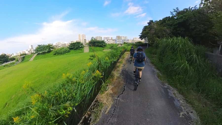Shuri+Naha: Cycling Tour Explore Water Heritage with E-Bike - Shuri’s famous vermilion gate