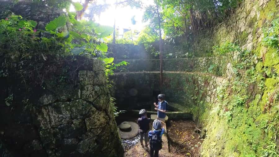 Shuri+Naha: Cycling Tour Explore Water Heritage with E-Bike - Climbing through Shuri’s castle-town streets