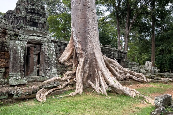 Siem Reap: Angkor Wat Sunrise Bike Tour & Jungle Breakfast - Guide quality and the value of local knowledge