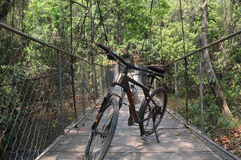 Siem Reap: Bike Rental - Riding from Siem Reap toward Angkor