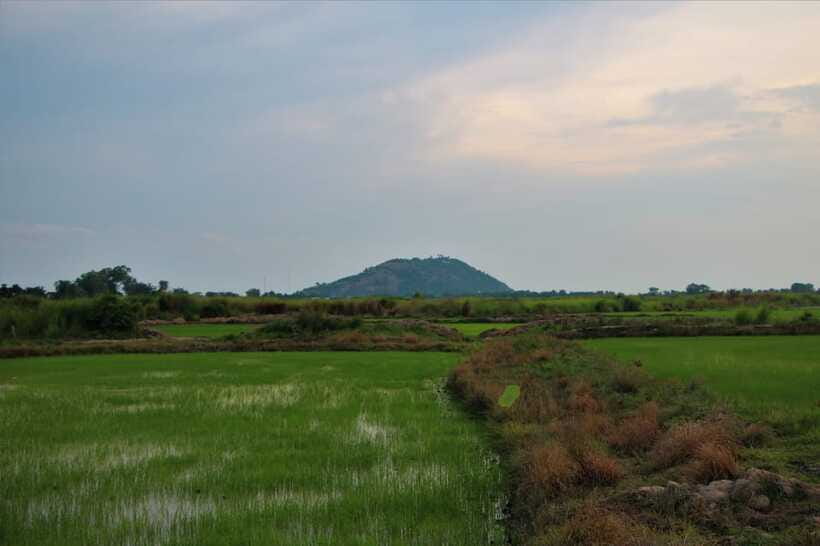 Siem Reap: Countryside Cycle and Local Village Life Tour - A duck farm and a closer look at village life