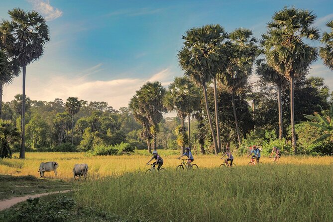 Siem Reap Countryside Guided Tour by Bike and E-Bike Private Tour - Quick points before you book