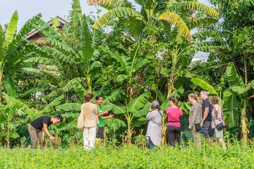 Siem Reap: Countryside Sunset Bike Tour / E-Bike or Tuk Tuk - Wat Po Banteaychey, the market, and local stories