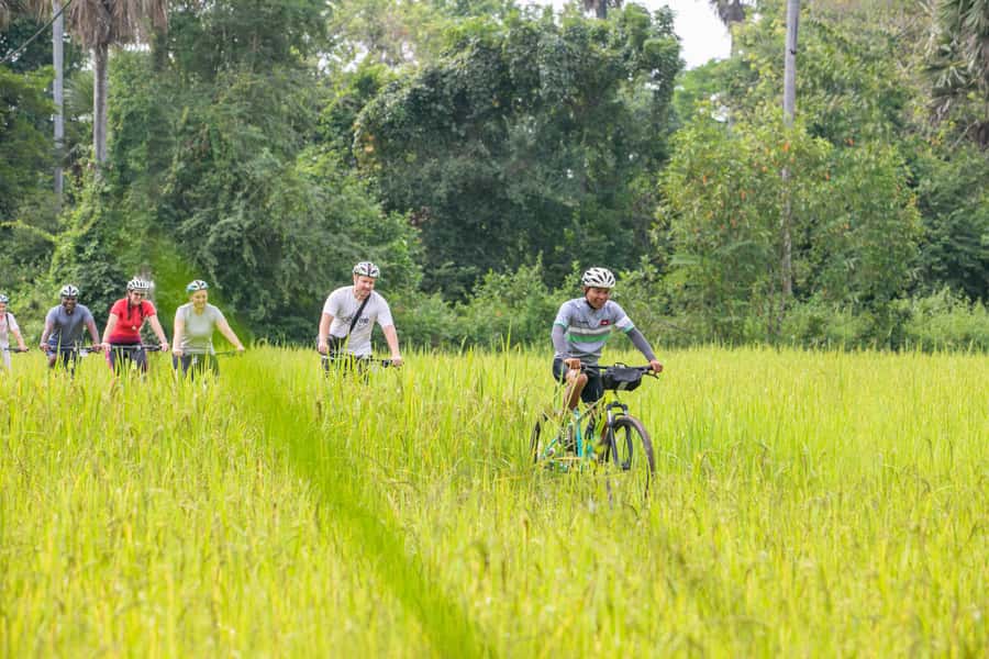 Siem Reap: Guided Countryside Bike Tour - Riding through rice fields and village lanes