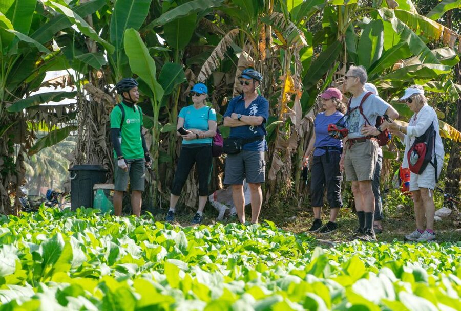 Siem Reap: Guided Countryside Bike Tour - Buddhist temples and the countryside beyond Angkor