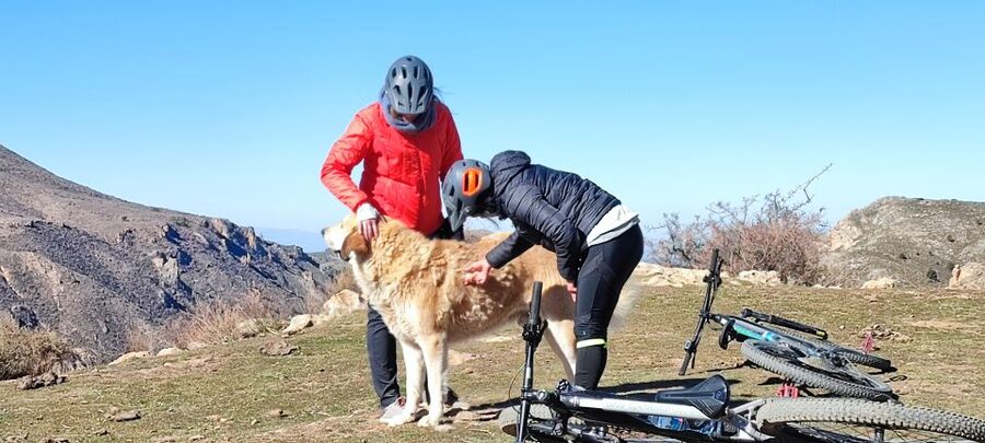 Sierra Nevada Small Group E-Bike Tour - Who will enjoy this ride most?