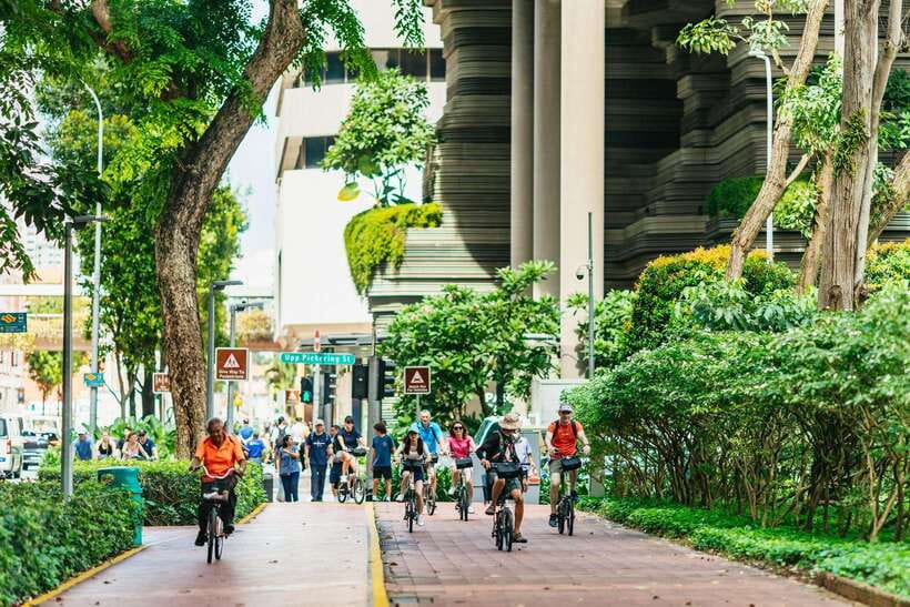 Singapore: Lion City Highlights Bike Tour - Little India and the busier riding
