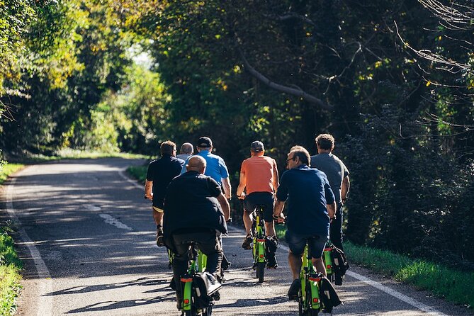Small-group Amarone Wine e-Bike Tour from Verona - Why this is a good break from Verona