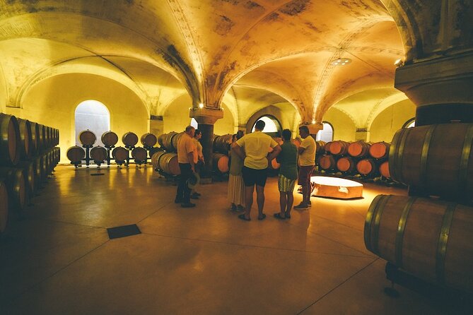 Small-group Amarone Wine e-Bike Tour from Verona - The Valpolicella winery visit