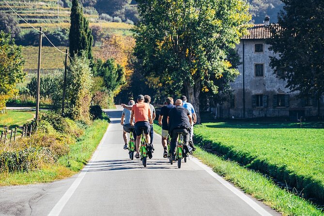 Small-group Amarone Wine e-Bike Tour from Verona - What the guides add to the morning