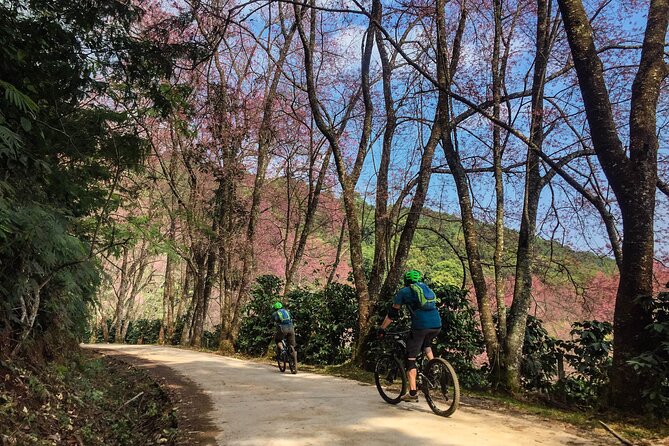 Smoke on the Water Trail Mountain Biking Tour Chiang Mai - Coffee, lunch, drinks, and snacks
